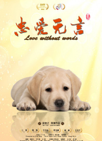 综合婷婷